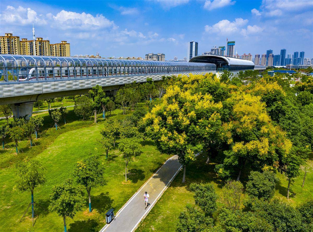 EDF一定发手机网站