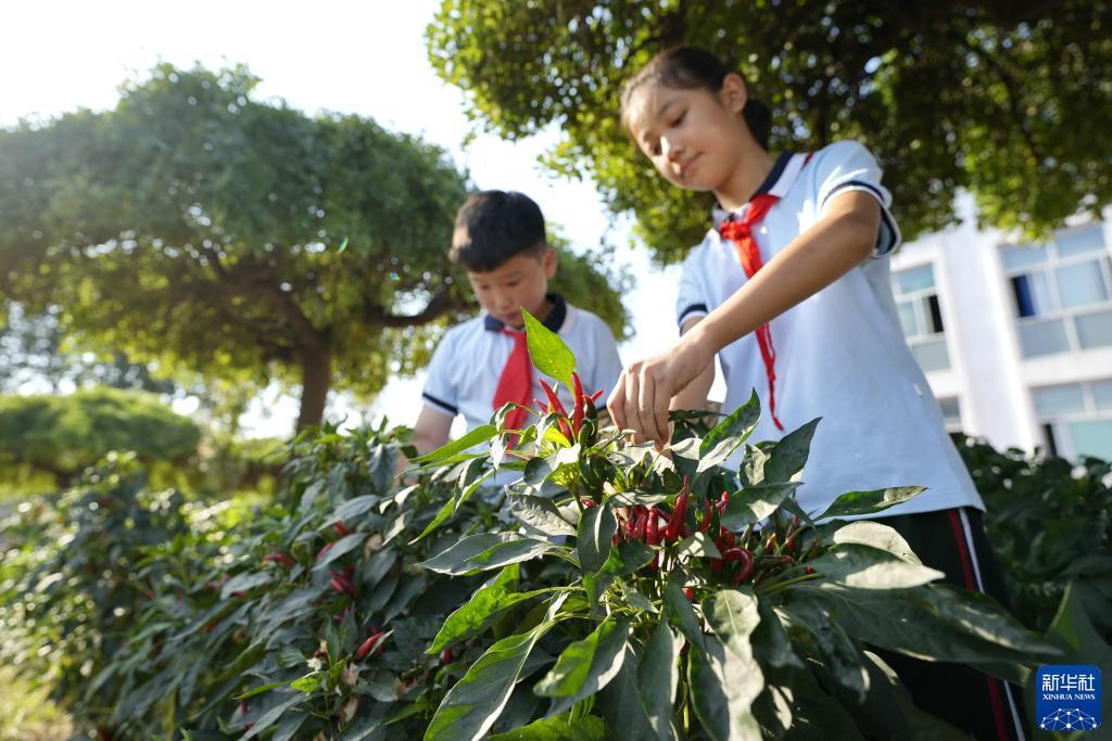 能申请跳槽彩金的网站